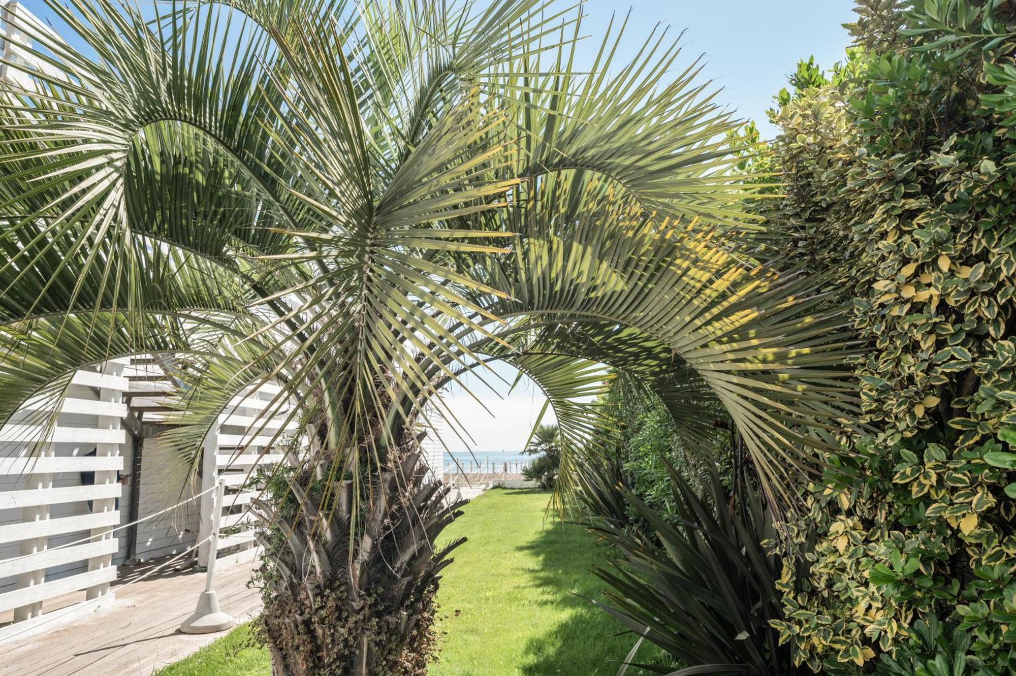 Terme Beach Resort Punta Marina Exterior photo