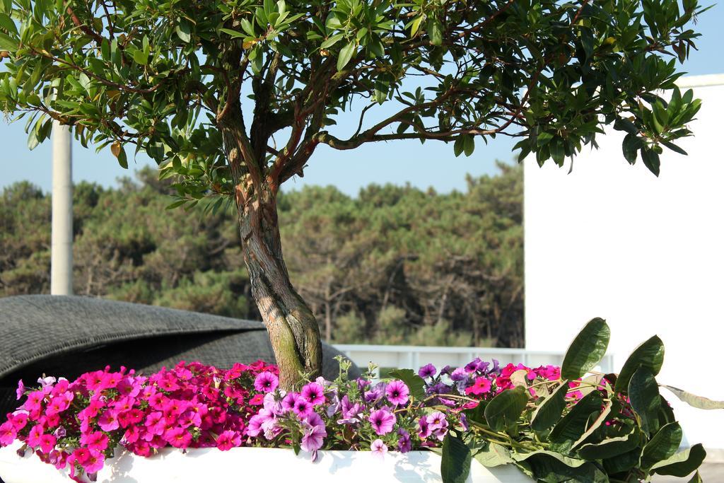Terme Beach Resort Punta Marina Exterior photo
